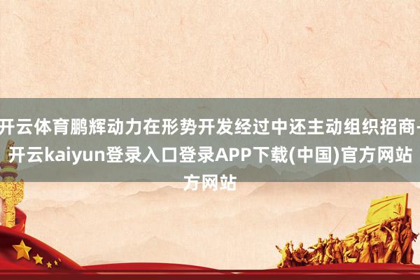 开云体育鹏辉动力在形势开发经过中还主动组织招商-开云kaiyun登录入口登录APP下载(中国)官方网站