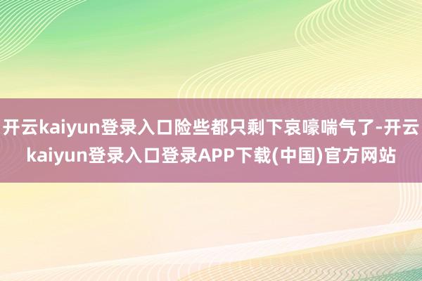 开云kaiyun登录入口险些都只剩下哀嚎喘气了-开云kaiyun登录入口登录APP下载(中国)官方网站