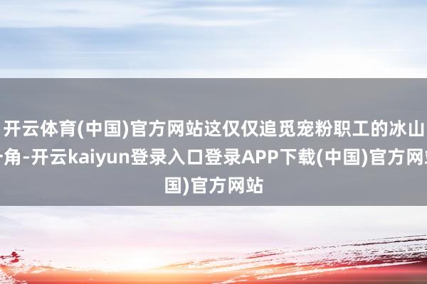 开云体育(中国)官方网站这仅仅追觅宠粉职工的冰山一角-开云kaiyun登录入口登录APP下载(中国)官方网站