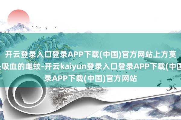 开云登录入口登录APP下载(中国)官方网站上方莫得触角的是吸血的雌蚊-开云kaiyun登录入口登录APP下载(中国)官方网站