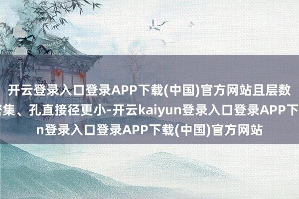 开云登录入口登录APP下载(中国)官方网站且层数更多、电路愈加密集、孔直接径更小-开云kaiyun登录入口登录APP下载(中国)官方网站