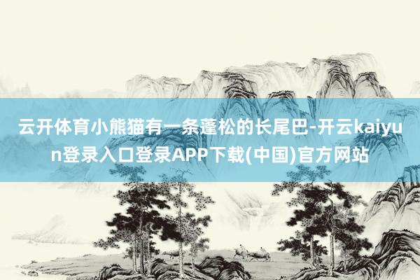 云开体育小熊猫有一条蓬松的长尾巴-开云kaiyun登录入口登录APP下载(中国)官方网站